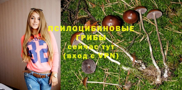 кокаин премиум Богородицк