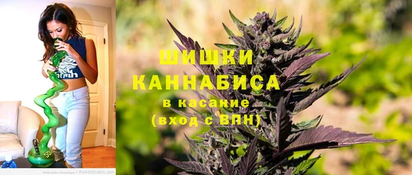 ГАЛЛЮЦИНОГЕННЫЕ ГРИБЫ Бронницы