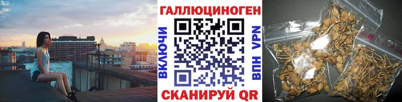 сайты даркнета как зайти  гидра ссылка  Сретенск  Галлюциногенные грибы Psilocybe 